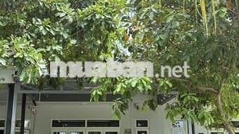 CẦN CHO THUÊ NHÀ THUỘC KHU ĐÔ THỊ BELLA VILLA THỊ TRẤN ĐỨC HOÀ
