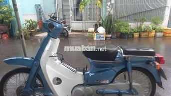 Honda Cup 84 50cc Xanh, Trắng