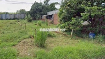 Bán lô đất 118m2 giá 850triệu đường Nguyễn Thị Lắng xã Tân Phú Trung