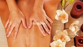 Ánh Tuyết, 54 tuổi, thân thiện, nhiệt tình, vui vẻ 