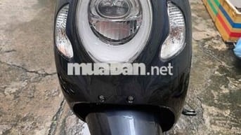 Honda Scoopy 2024 Xanh 8000km