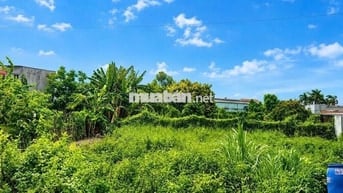 Cần tiền bán nhanh đất Củ Chi 283m², đường 12m , chỉ 680 triệu SHR