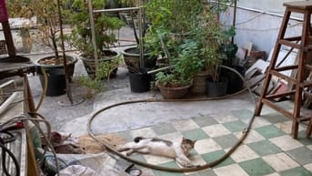 BÁN NHÀ 2 HẺM 2M THÁI PHIÊN, P.2, Q.11, 5.9 TỶ.