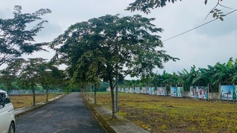 Chủ nhà cần thu hồi vốn gấp, quyết định giảm giá lô đất đẹp...