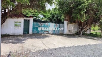 nhà xưởng 60x180m đường an thạnh