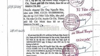 Bán đất xã Tân An Hội, TPHCM (xã Phước Hiệp, Củ Chi, HCM cũ)