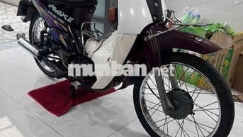 Kawasaki Max