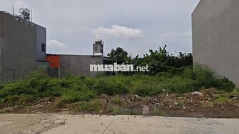Đất 160m2 siêu đẹp Ngay cầu Tân Triều 13x13 SHR 3 tỷ có thương lượng.
