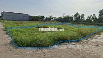 CHÍNH CHỦ BÁN ĐẤT THỔ CƯ XÃ LONG CANG – CẦN ĐƯỚC, LONG AN