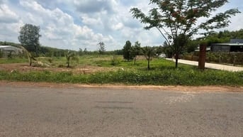Chủ xoay vốn nên cần bán nhanh lô đất nằm ngay mặt tiền đường lớn