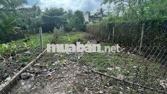 Cần bán thửa đất diện tích 100m2 (5 x 20), thổ cư 70m2 phường Mỹ Phong