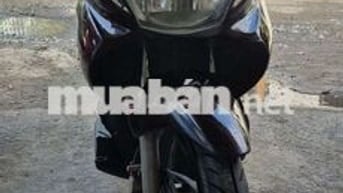 Suzuki Thể thao Nâu đen