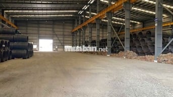 Cần Cho Thuê Xưởng Có 4 Cẩu Trục 25 Tấn Trong Khu Công Nghiệp Mỹ Xuân