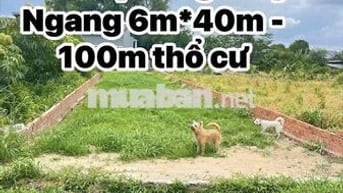 Bán đất Đường 29- Thôn Tân Lễ - Châu Pha - Ngay uỷ ban Châu Pha