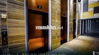 Căn Hộ 2PN Full Nội Thất Cao Cấp Quận 7 – Giá Chỉ 12 Triệu