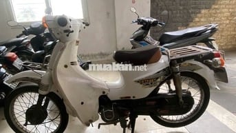 Honda Cub Trắng Số Xăng