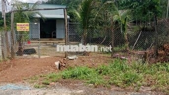 Nhà vườn 1300m2, cây ăn trái đường nhựa 8m thông , giá 420 triệu