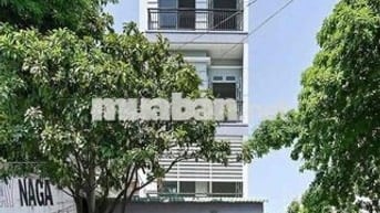 Tòa Nhà 5 Tầng Mặt Tiền Đường 15m – Thích Hợp Văn Phòng, Khách Sạn