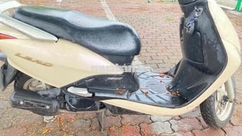 Honda Lead Vàng kem Xe tay ga