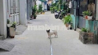 NHÀ ĐẸP TÂN PHÚ- OTÔ NGỦ TRONG NHÀ- NỞ HẬU TÀI LỘC - NGAY CHỢ TÂN HƯƠN