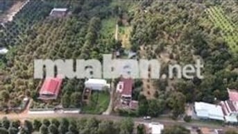 Đất đẹp Khu phố Nông Doanh, Xuân Tân – Gần ngay Quốc lộ 1A