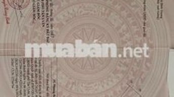 Đất thổ cư tan uyen ngộp cần bán gấp