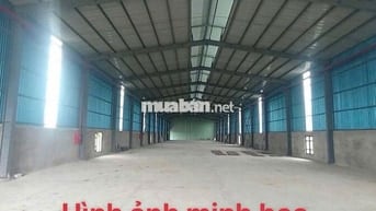 KHO 500-1000M2 GẦN LÊ TRỌNG TẤN- GẦN BẾN XE