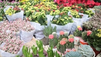 Cho thuê nhà 3,5 tầng trong ngõ 189 Hoàng Hoa Thám