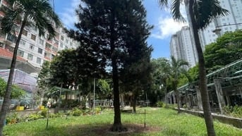 Bán căn hộ chung cư Hòa Bình, Q10, 56m2, 2pn, 3.1 tỷ, có sổ hồng