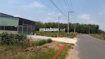 Xưởng Tân Hiệp đất 5000m xưởng 700 có hoàn công 55 triệu/tháng