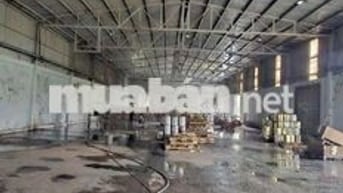 xưởng ngoài KCN ĐỨC HÒA LONG AN giá 50tr container 40f