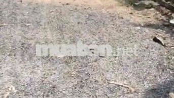 Bán Đất Bình nhâm 5x22m hẽm xe hơi giá 1ty850
