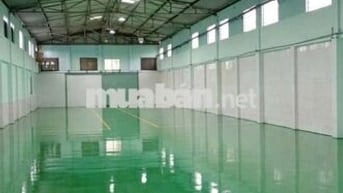 xưởng cho thuê mt container 40f Xuân Thới thượng hóc môn