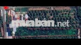 ĐẤT 5800M2. THỔ CƯ MẶT TIỀN PHÚ TÂN _ VĨNH LONG