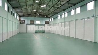 Cho Thuê Xưởng Hóc Môn 700m, cont 24/24, trạm 160kva