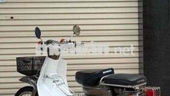 Honda Super Cub 50 Trắng, Xám