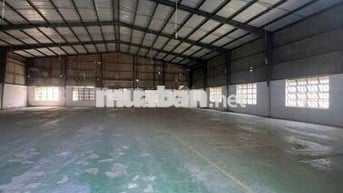 xưởng cho thuê Tân Phú Trung củ Chi TP HCM giá 55 triệu