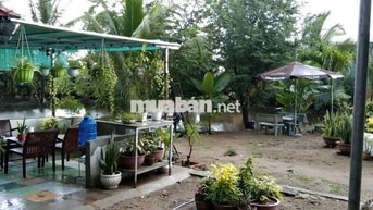 Bán nhà vườn, thích hợp về hươu Nghỉ dưỡng. DT 2300m có 680m thổ cư.