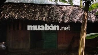 NHÀ NGUYÊN CĂN SÂN VƯỜN TRƯỚC NHÀ GẦN CẦU THANH ĐA - 10X6M-OTO TỚI CỬA