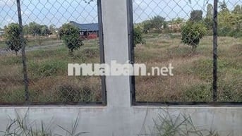 Đất thổ cư toàn bộ 700m2 ngang 20m sát bên chợ thị trấn Đức Huệ