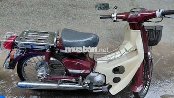 Honda Cub Custom 50cc. cavec bs16