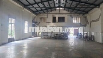  KHO,XƯỞNG SẢN XUẤT 500M² GIÁ 40TR/T, Đ LÊ TRỌNG TẤN