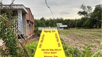 Cần Bán Gấp Đất Khu Dân Cư Ấp 2, Xã Suối Dây Giá Siêu Tốt !
