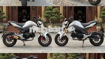 Honda MSX 125 2024 Trắng