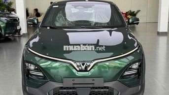 Chỉ cần 100 T mua luôn Vinfast VF6 Plus Mới 100%,