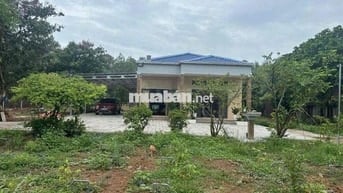 Cho Thuê Biệt Thự Vườn (3,125m2) KP Tân Cảng, P.Phước Tân- giá: 15tr