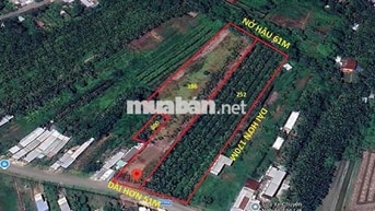 BÁN GẤP CỰC RẺ MẶT TIỀN ĐƯỜNG 904