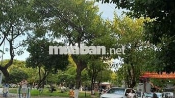 Nhà Trung Tâm Thành Phố Mai Lão bạng 