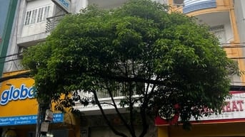 CĂN GÓC 2 MT – PHƯỜNG SÀI GÒN – CẠNH THẢO CẦM VIÊN, GIÁ 23,2 TỶ TL