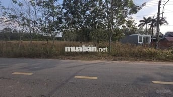 Bán đất MT DH619, 4,5 tỷ TL, DT đất 1.620m2 có 300m2 đất XD, MG 2%